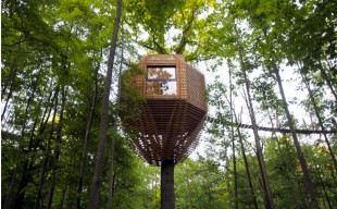 TREE HOUSE: SOUKROMÍ Z POHLEDU PTÁKŮ